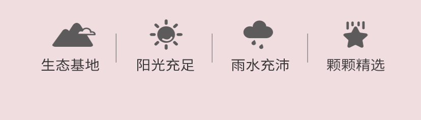 项目名字+周期+内容